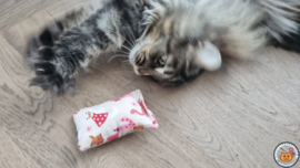 Snuffelzakje Schattige kat roze (gevuld met catnip én valariaan)