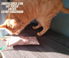 Snuffelzakje gym Lief Poesje met lintjes (gevuld met catnip én valeriaan)