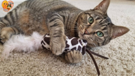 WILD ANIMALS 💙 All-in-One Snuffelzakje – Geurexplosie | Lintjes, Staart, Knisper & Belletje