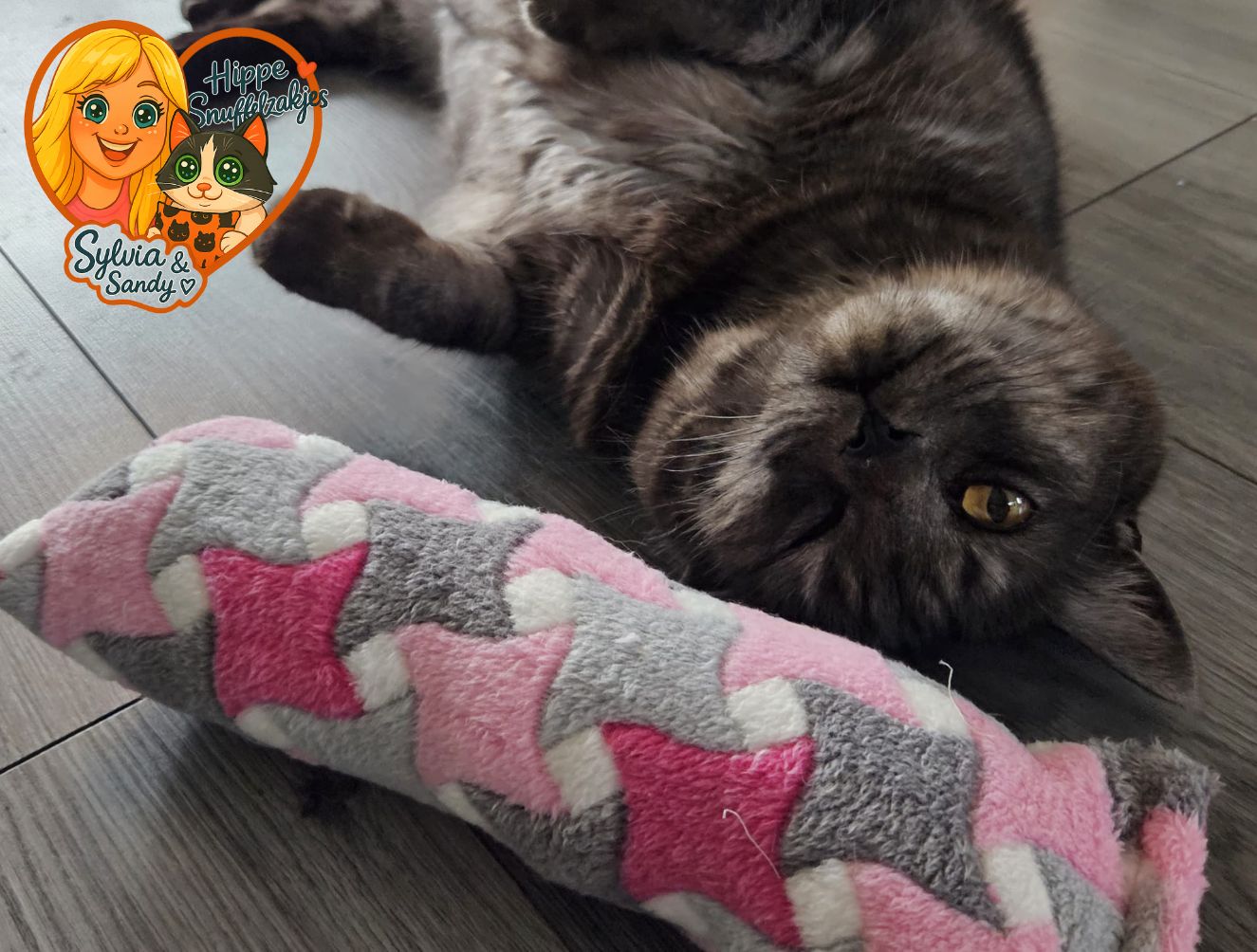 ✨ Limited Edition: Handgemaakt Snuffelzakje Gym XXL met Zachte Sterrenstof ✨Catnip