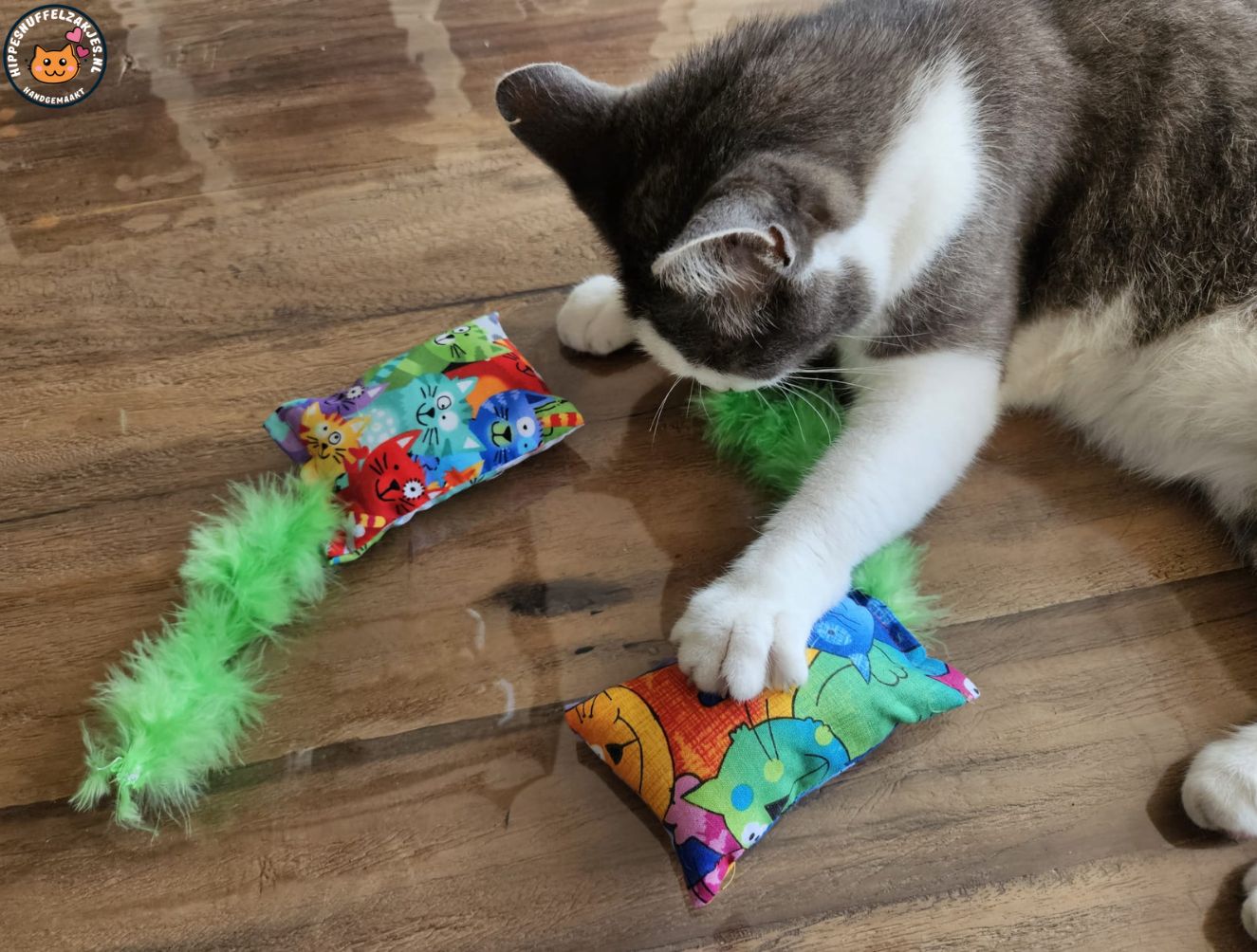 Snuffelzakje Geluid Vrolijke kat met groene staart  (gevuld met catnip, matatabi knisper)