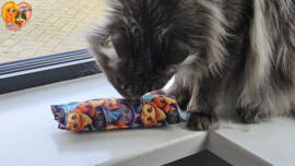 HALLOWEEN 🎃🧡 LANGWERPIG SNUFFELZAKJE – HALLOWEEN EDITIE – MATATABI 🧡🎃