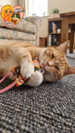 Snuffelzakje met lintjes (gevuld met geurexplosie)