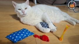 2 delige set Snuffelzakjes Verrassing Ster (gevuld met catnip én  valeriaan)+ 2 cadeautjes