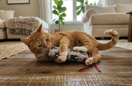 Snuffelzakje gym met lintjes