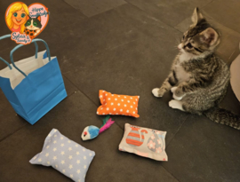 ✨ Kittenpakket 4-delig – Hippe Snuffelzakjes met Catnip, Valeriaan & Matatabi + Speelmuis