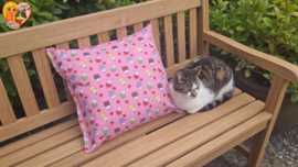 Snuffelkussen 45x45 – Kattenprint | ZONDER GEUR
