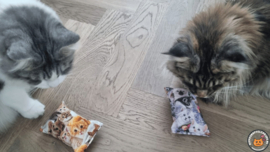 NIEUW/ 2 snuffelzakjes Knappe katten (gevuld met geurexplosie)