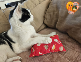 Slaapspeelkussen Kat – Rode Kattenprint (Handgemaakt met Matatabi, Belletje en Knisper)