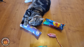 2 delige set snuffelzakjes gym Verrassing (gevuld met catnip ) + 2 cadeautjes