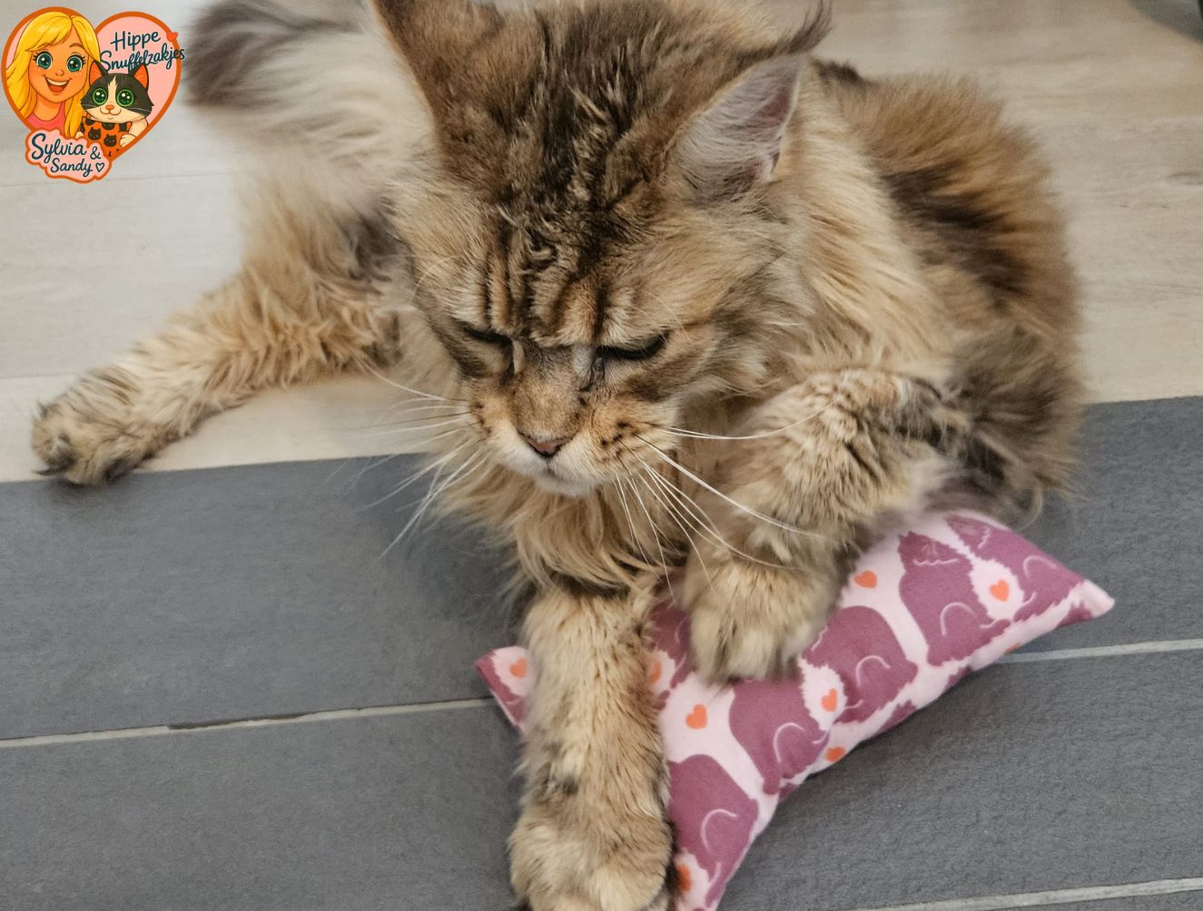NIEUW/ Slaap/speelkussen Verliefde katten (gevuld met matatabi)