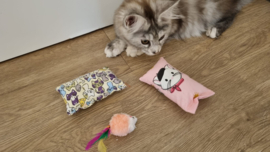 2 delige set snuffelzakjes Verrassing (gevuld met catnip en valeriaan) + 2 cadeautjes