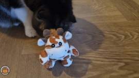 Snuffelgiraffe (gevuld met catnip én valeriaan)