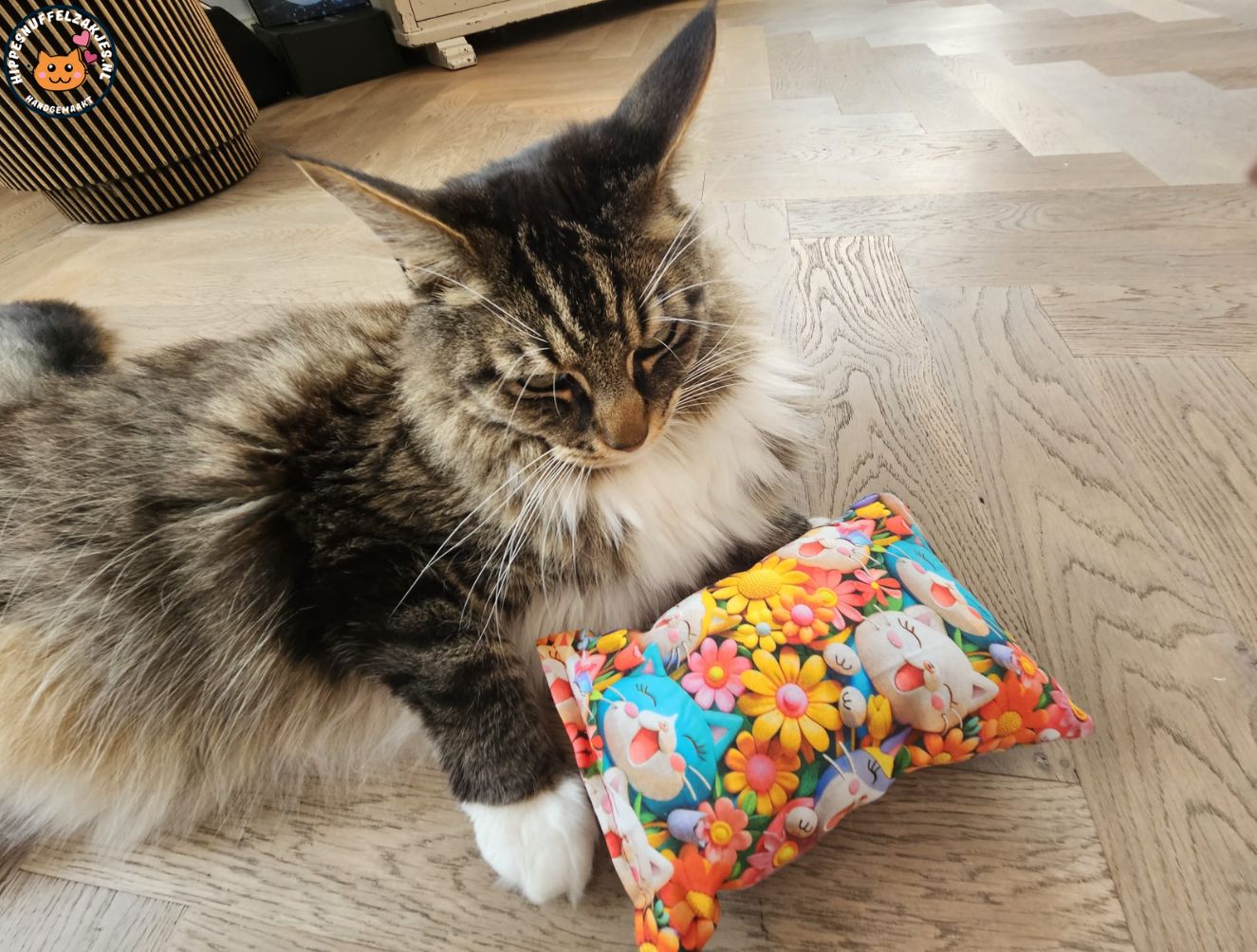 GROOT KATTENSPEELGOED-Slaap/speelkussen Happycats (gevuld met geurexplosie)