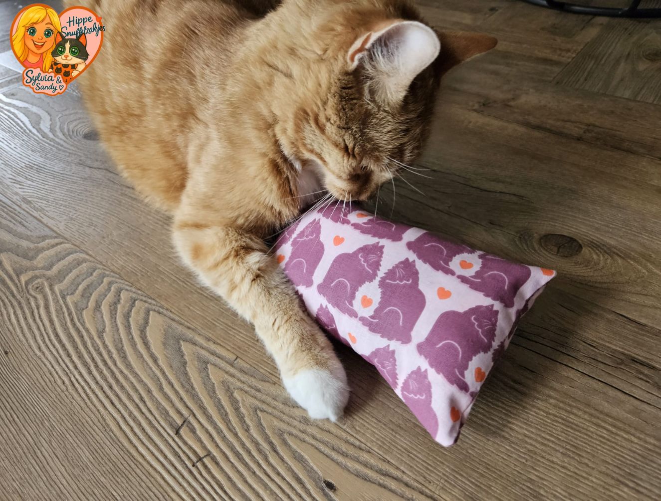 NIEUW/ Slaap/speelkussen Verliefde katten (gevuld met matatabi)
