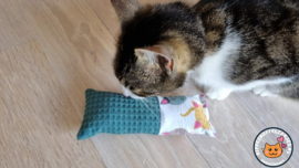 Snuffelzakje Gym – speciaal voor oudere katten (gevuld met catnip en valeriaan)