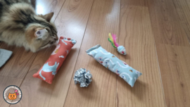 2 delige set snuffelzakjes gym Verrassing (gevuld met catnip ) + 2 cadeautjes