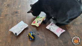 3 delige set snuffelzakjes verrassing (gevuld met catnip)+ 1 cadeautje