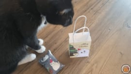 Kadotasje Snuffelzakje Kerstkatten grijs (gevuld met geurexplosie)