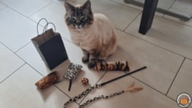 Cadeaupakket Dierendag Jungle (gevuld met catnip, matatabi en geurexplosie)