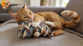 😺 Fanatieke Katten GeurKick XL Extra stevig speel- en slaapkussen met catnip, valeriaan & matatabi