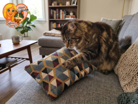 😺 Fanatieke Katten GeurKick XL Extra stevig speel- en slaapkussen met catnip, valeriaan & matatabi