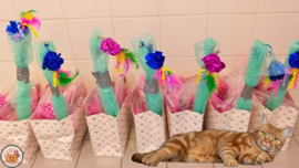NIEUW/ 7 delige Mystery bag  Ultieme Experience Valentijn (vijf verschillende geuren, knisper, belletje, staart en lintjes)