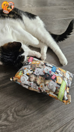 😻 GROOT KATTENSPEELGOED 😻 Slaap & Speelkussen met Matatabi🐾💤