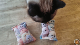 NIEUW/ 2 snuffelzakjes Fantasy cat+ roze (gevuld met matatabi)