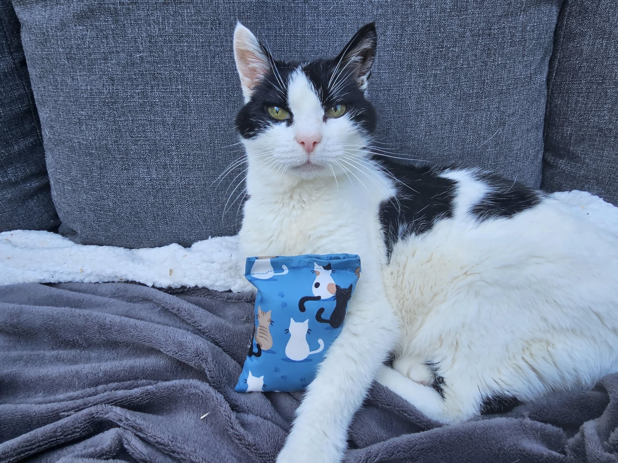 🐾 Wat is een snuffelzakje en waarom houden katten er zo van?