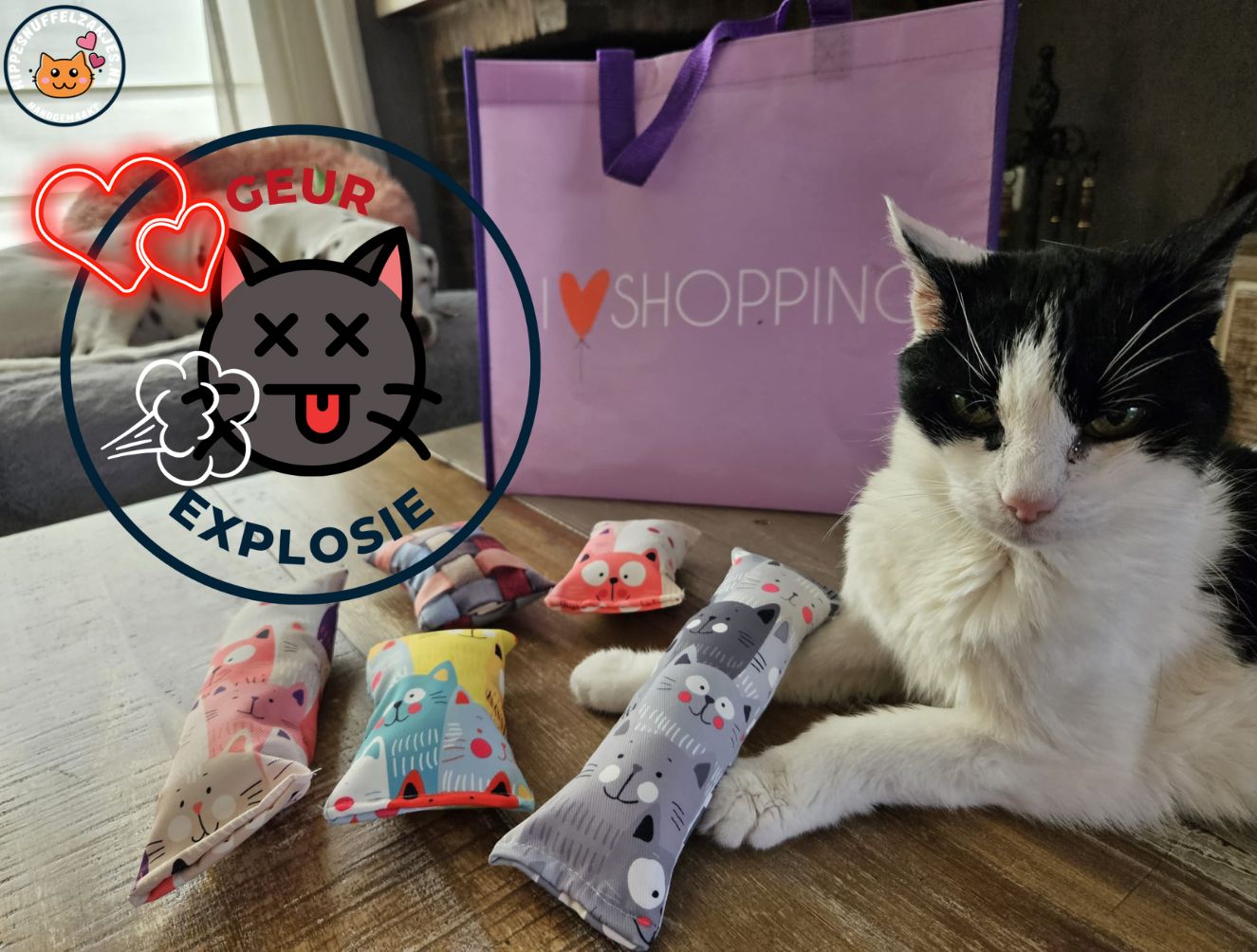 5delige set Snuffelzakjes Sterke Kat (gevuld met geurexplosie)