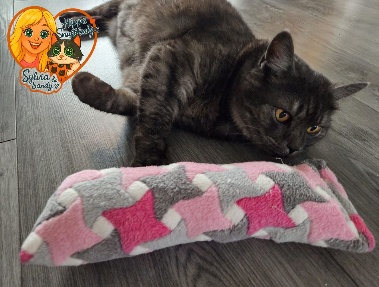✨ Limited Edition: Handgemaakt Snuffelzakje Gym XXL met Zachte Sterrenstof ✨Catnip