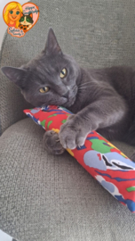 Snuffelzakje Gym XXL Rocky โ Voor stoere katten met spierballen ๐พ( Gevuld met geurexplosie)