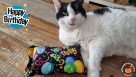 Slaap/speelkussen Happy Birthday (gevuld met mix van catnip én valeriaan)