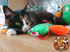 AANBIEDING🧡⚽️ WK Voetbal Mystery Bag voor katten 😻