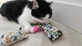 ❤️ MEEST VERKOCHT | Verrassingsset voor Katten 2 Snuffelzakjes + Cadeautje | Geurexplosie Editie