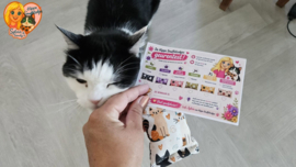 🏆 BESTSELLER | Kennismakingsset Snuffelzakjes voor Katten 6 verschillende geuren + GRATIS Geurentestkaart