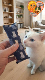 😻 Snuffelzakje Gym Senior Kat – Soepel Blijven met Catnip, Valeriaan & Matatabi 🐾💛