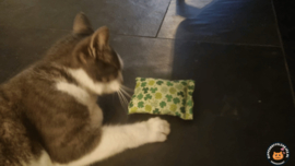 NIEUW/ Snuffelzakje Klavertje 4  (gevuld catnip)