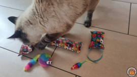 5 delige startersset  Happy cats (gevuld met catnip, valeriaan en matatabi)