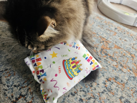 AANBIEDING / Slaap/speelkussen Verjaardag kat (gevuld met geurexplosie)