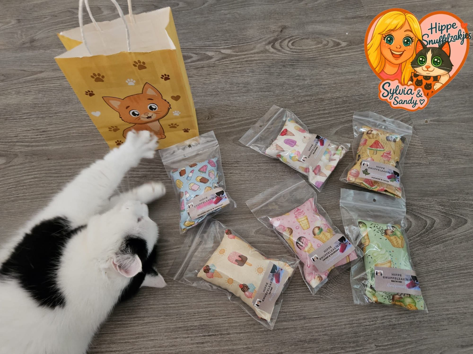 🌞 ZOMER AANBIEDING– 6 Snuffelzakjes / 6 Verschillende Geuren – Zomereditie met IJsjes! 🍦😻