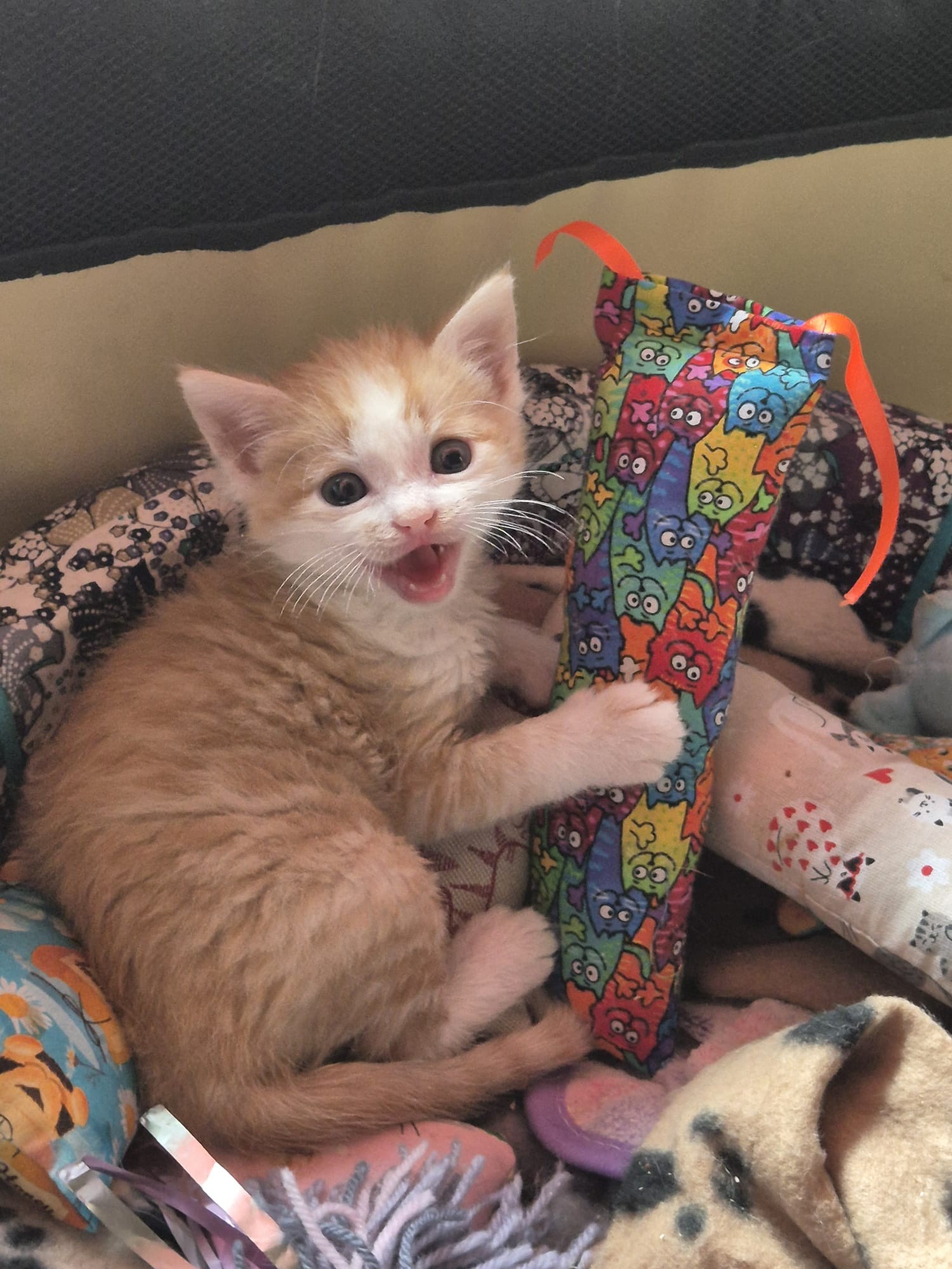 NIEUW/ Snuffelzakjeset Smile met staart en lintjes (gevuld met catnip én valeriaan)