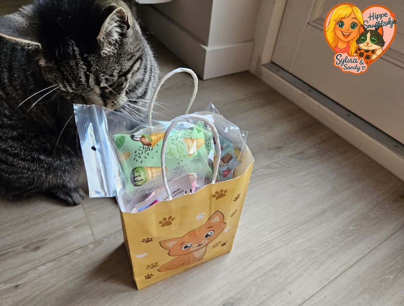 🌞 ZOMER AANBIEDING– 6 Snuffelzakjes / 6 Verschillende Geuren – Zomereditie met IJsjes! 🍦😻