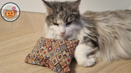 Slaap/speelkussen Ibiza winter (gevuld met catnip én valeriaan, knisper en belletje
