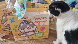 7 delige Mystery bag Happy Birthday Ultieme Experience (vijf verschillende geuren, knisper, belletje, staart en lintjes)