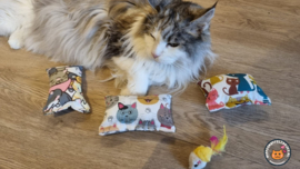 3delige Snuffelzakje Verrassing 3 stuks (catnip en valeriaan)+ cadeautje