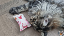 Snuffelzakje Schattige kat roze (gevuld met catnip én valariaan)