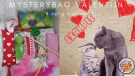 8 delige Mystery bag Hartjes meerdere kleuren(gevuld met meerdere geuren)