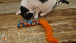 Snuffelzakje gym Smile met oranje staart (gevuld met catnip én valeriaan)